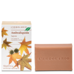 Sapone Ambraliquida 100g