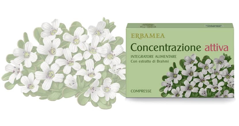 Erbamea Concentrazione attiva 24 cpr